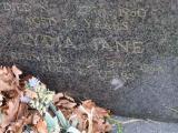 image of grave number 709841